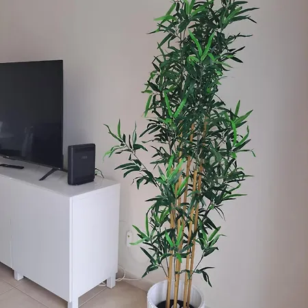 Apartamento Sea And Old Town Views
